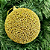 BOLA DECORADA NATAL DOURADO - Imagem 1