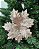 POINSETIA ROSA (FLORES CABO CURTO) C/1 UN - Imagem 1