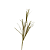 GALHO GRASS NATAL DOURADO 95cm - Imagem 2