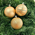 BOLA DECORADA NATAL CHAMPANHE 8CM - Imagem 2