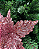DEC FLOR POINSETIA C/GLITTER ROSA - Imagem 2