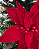 POINSETIA VRM 30cm (FLORES CAB CURT) - Imagem 2