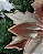 FLOR DEC POINSETIA CHA 30cm - Imagem 2