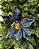 DEC FLOR POINSETIA C/GLITTER AZUL MARINHO - Imagem 1
