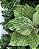 FLOR DEC POINSETIA VERDE 20cm - Imagem 2