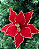 H.BICO PAPAGAIO  (VERMELHO) 35cm - Imagem 1