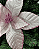 H.BICO DE PAPAGAIO (ROSA CLARO) 35cm - Imagem 2