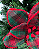 H.BICO PAPAGAIO (VERDE VERMELHO) 27cm - Imagem 2