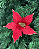 H.BICO PAPAGAIO (VERMELHO) 23cm - Imagem 1