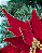 FLOR POINSETIA C/GLITTER VRM 30cm - Imagem 2