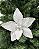 H.BICO PAPAGAIO (BRANCO) 24cm - Imagem 1