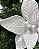 H.BICO PAPAGAIO (BRANCO) 24cm - Imagem 2