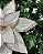 H.BICO DE PAPAGAIO NATAL  (OFF WHITE/CHAMPANHE) 23cm 29d - Imagem 2