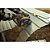 Serra Circular a Bateria 7.1/4'' Corte de Metais 20V Max* Xr® Dewalt DCS383B (Sem Bateria e Sem Carregador) - Imagem 8