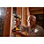 Parafusadeira/Furadeira a Bateria 1/2'' 20V MAX XR Li-Ion Brushless com 2 Baterias 2.0Ah e Carregador Dewalt DCD791D2 - Imagem 5