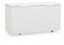 GHBS-510 CONG DUP ACAO TAMPA SOLIDA BRANCO 532LITROS 220V GELOPAR - Imagem 1