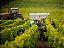 Maison Roche de Bellene Chassagne-Montrachet 1er Cru Très Vieilles Vignes 2016 - Imagem 3