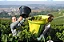 Jean Collet Chablis 2022 - Imagem 3