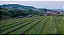 Amarone Della Valpolicella DOCG Classico "Corte Vaona" 2018 - Imagem 2