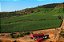 Polkura Syrah Block g+i 2021 - Imagem 3