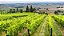BRUNELLO DI MONTALCINO DOCG LA RASINA 2020 - Imagem 3