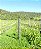 Paisajes de los Andes Chardonnay 2024 - Imagem 2