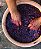 Paisajes de los Andes Classic Pinot Noir 2024 - Imagem 2