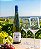 Scherb Riesling Tradition 2023 - Imagem 3