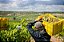 Finca in a Bubble Cava Brut Nature - Imagem 4