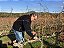 “RUTE” BOLGHERI DOC ROSSO 2021 - Imagem 2