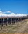 Credo El Peral Malbec 2022 - Imagem 2