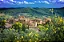 Volpaia Chianti Classico Riserva DOCG 2021 - Imagem 3