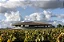 JCP Maltus Pezat Bordeaux Blanc 2023 - Imagem 3