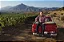 "COMPRE 3 LEVE 4 GFS" Falernia Syrah Gran Reserva 2019 - Imagem 3