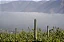 "COMPRE 3 LEVE 4 GFS" Falernia Syrah Gran Reserva 2019 - Imagem 4
