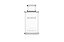 Yves Saint Laurent Kouros Perfume Masculino Eau de Toilette 100ml - Imagem 2