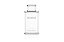 Yves Saint Laurent Kouros Perfume Masculino Eau de Toilette 100ml - Imagem 1