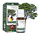 Óleo essencial resina Copaíba 5ml WNF - Imagem 1