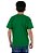 Camiseta Juvenil Brasil MC Medalha Verde - Imagem 5