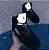 Nike Air Jordan 5 Aqua - Imagem 4