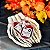 BOLSA DE SANGUE FALSO - CROMUS - Imagem 3