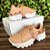 Tênis Feminino Gucci Com Pedras Sneaker Plataforma - Imagem 3