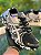 Tenis Asics Unissex - Imagem 1