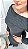 Vestido Tricot Mousse Midi Manga Comprida Bianca - Imagem 16