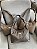 Bolsa de Couro Legítimo Feminina Lara | Bolsa de Ombro Elegante Premium | VALDN - Imagem 2