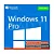 Windows 11 Professional - Permanente - Imagem 1