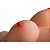 Masturbador Masculino Meio Corpo Vagina Ânus Seios Fartos Em Cyberskin - Imagem 3