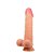 Pênis Realístico 24 cm com Dupla Densidade e Ventosa - Baile - Imagem 2