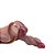 Cinta Peniana com Prótese Realística com Saliências 13 Cm | Estilo Tanga - Imagem 7