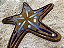 ESTRELA DO MAR DECORATICA - Imagem 2